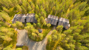 Tunturipöllö 1 in Ruka